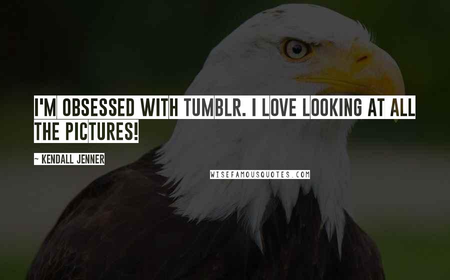 Kendall Jenner Quotes: I'm obsessed with Tumblr. I love looking at all the pictures!