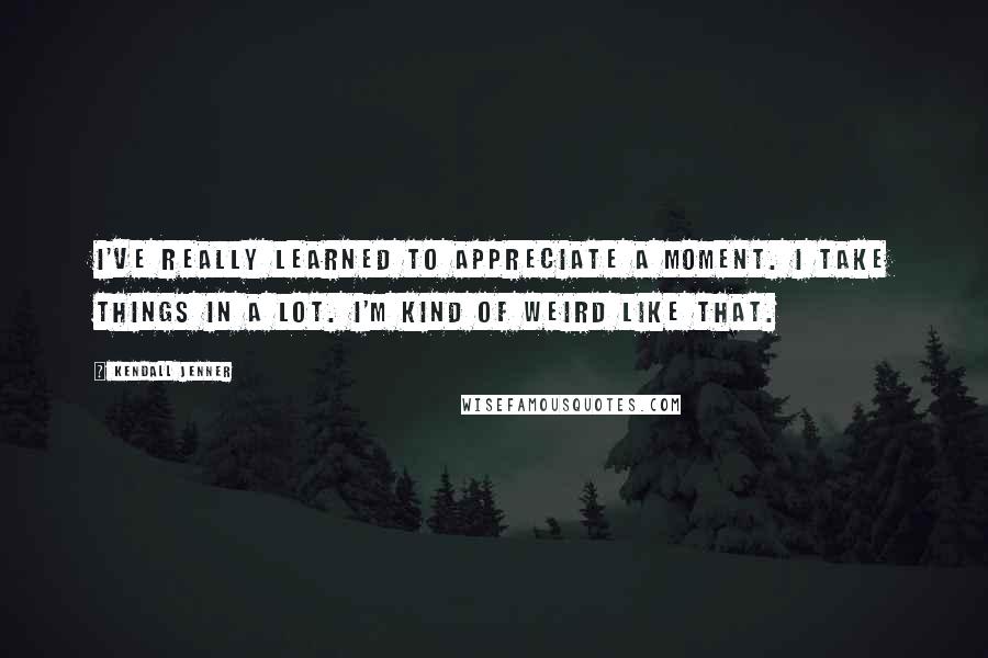 Kendall Jenner Quotes: I've really learned to appreciate a moment. I take things in a lot. I'm kind of weird like that.