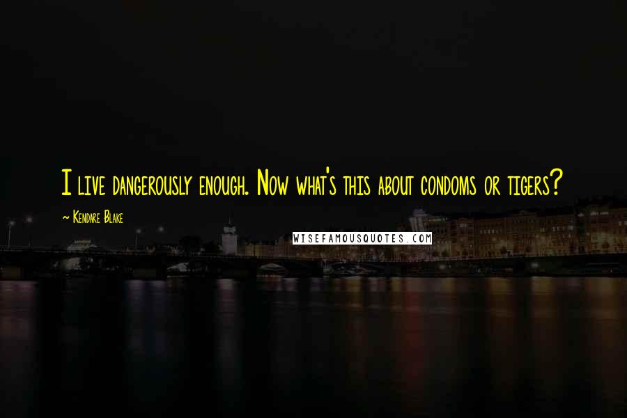 Kendare Blake Quotes: I live dangerously enough. Now what's this about condoms or tigers?