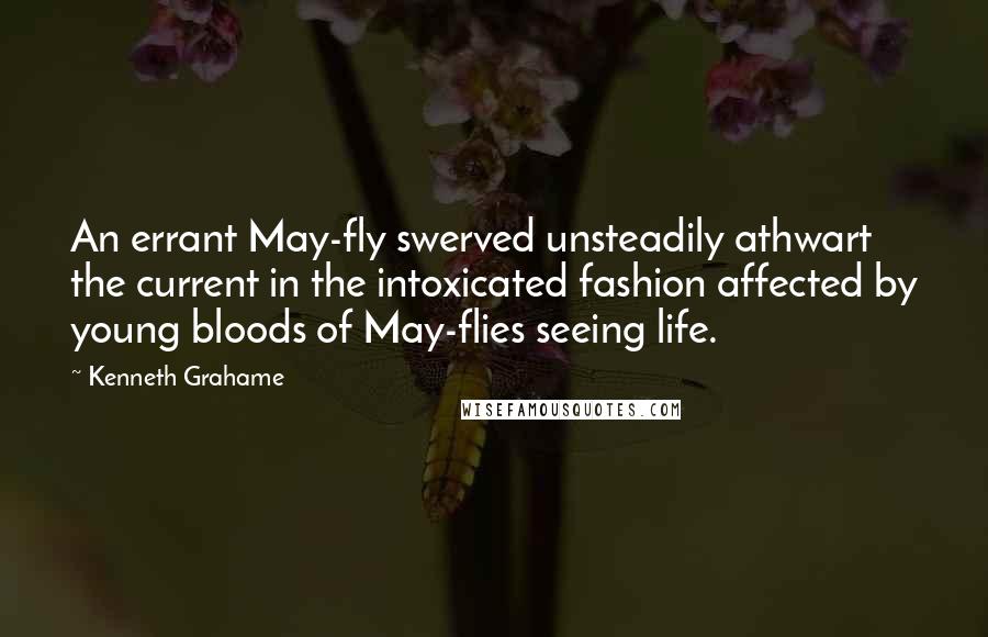 Kenneth Grahame Quotes: An errant May-fly swerved unsteadily athwart the current in the intoxicated fashion affected by young bloods of May-flies seeing life.