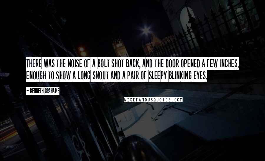 Kenneth Grahame Quotes: There was the noise of a bolt shot back, and the door opened a few inches, enough to show a long snout and a pair of sleepy blinking eyes.