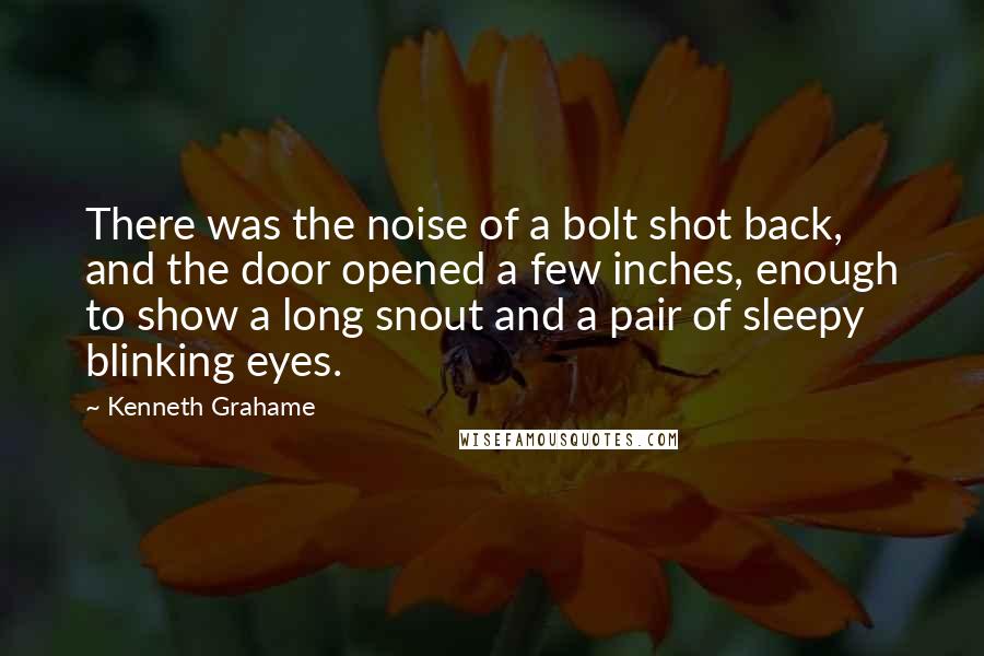 Kenneth Grahame Quotes: There was the noise of a bolt shot back, and the door opened a few inches, enough to show a long snout and a pair of sleepy blinking eyes.