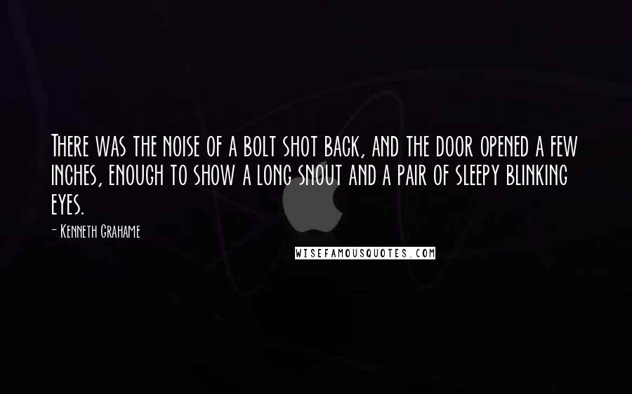 Kenneth Grahame Quotes: There was the noise of a bolt shot back, and the door opened a few inches, enough to show a long snout and a pair of sleepy blinking eyes.