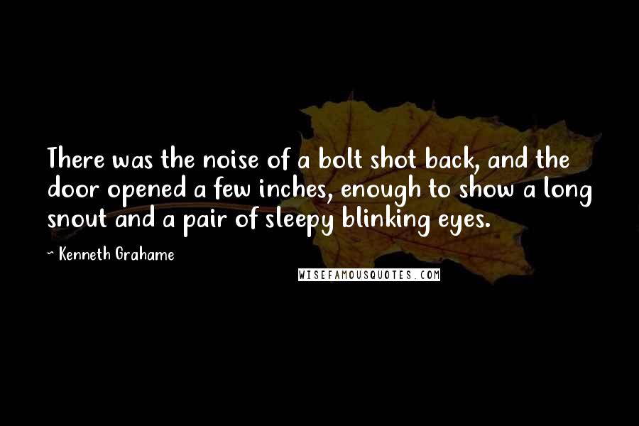 Kenneth Grahame Quotes: There was the noise of a bolt shot back, and the door opened a few inches, enough to show a long snout and a pair of sleepy blinking eyes.