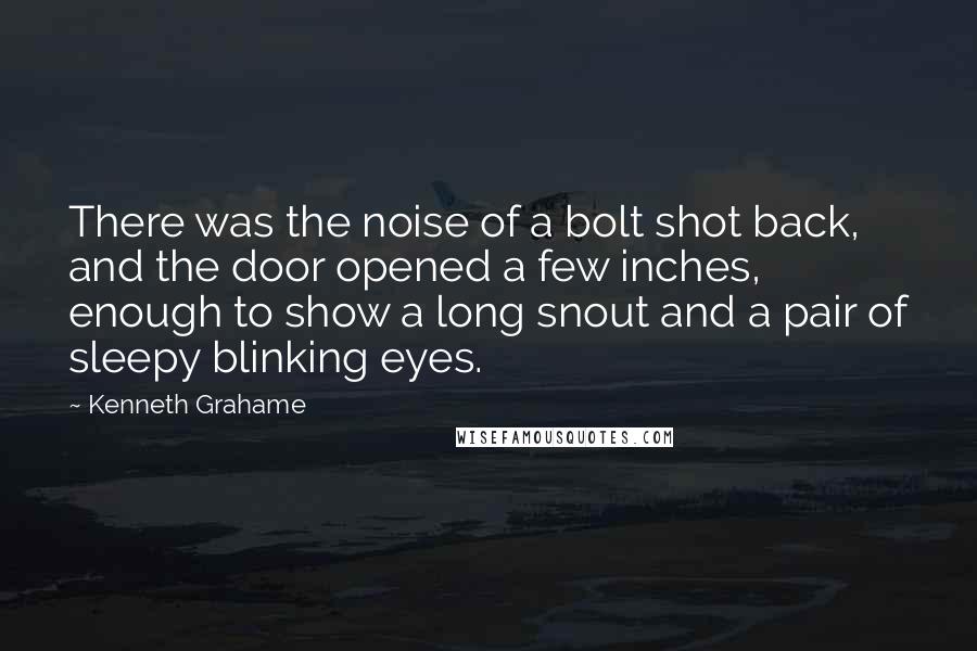 Kenneth Grahame Quotes: There was the noise of a bolt shot back, and the door opened a few inches, enough to show a long snout and a pair of sleepy blinking eyes.
