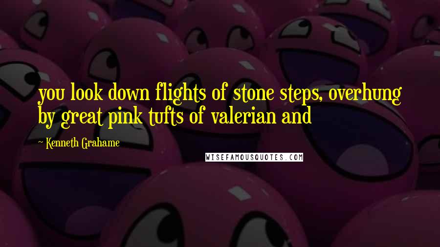 Kenneth Grahame Quotes: you look down flights of stone steps, overhung by great pink tufts of valerian and