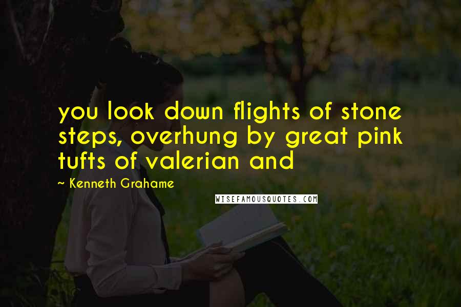 Kenneth Grahame Quotes: you look down flights of stone steps, overhung by great pink tufts of valerian and
