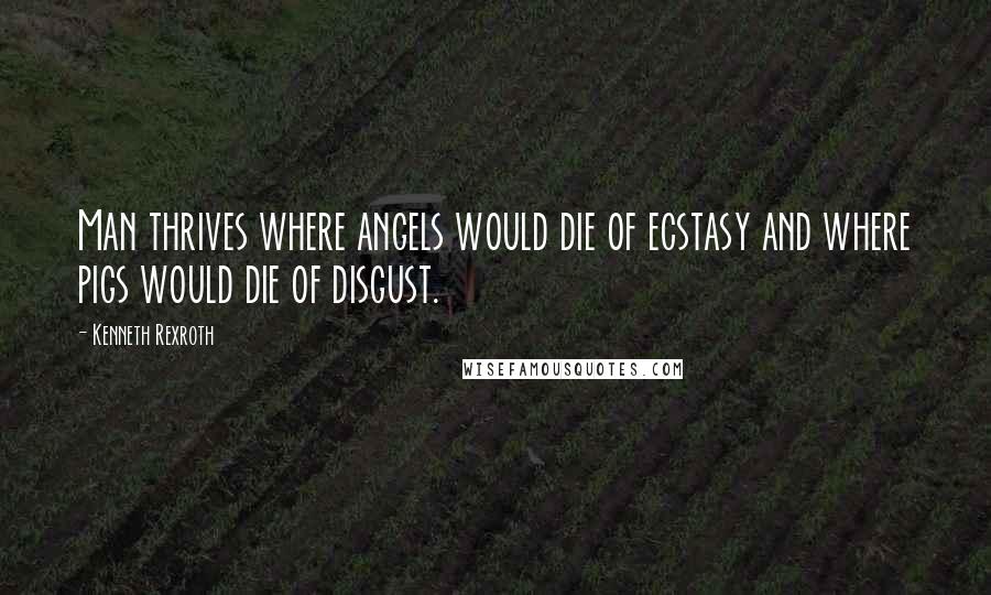 Kenneth Rexroth Quotes: Man thrives where angels would die of ecstasy and where pigs would die of disgust.