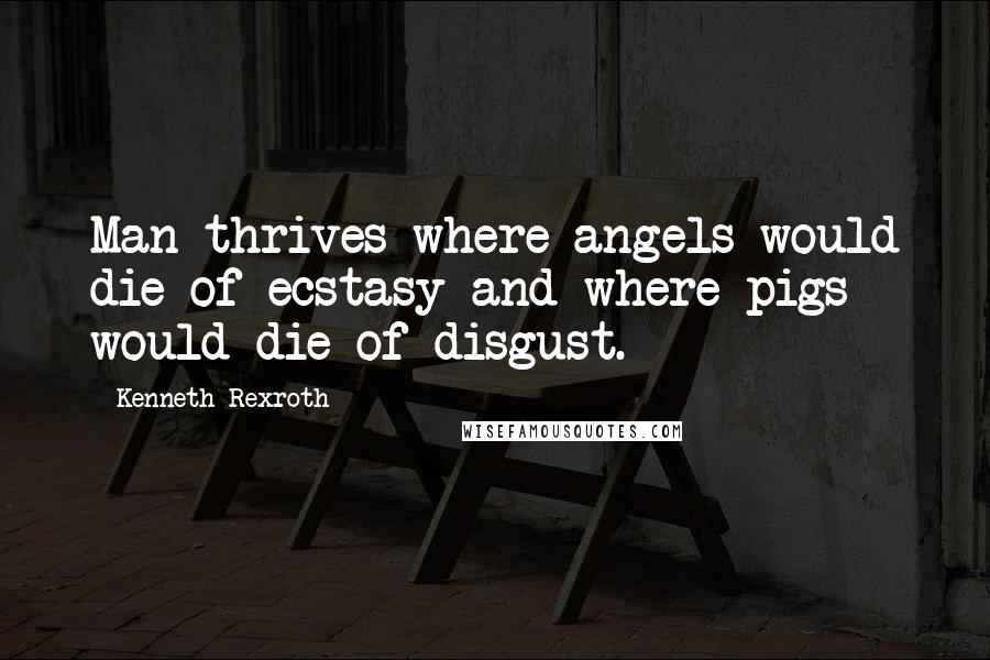 Kenneth Rexroth Quotes: Man thrives where angels would die of ecstasy and where pigs would die of disgust.