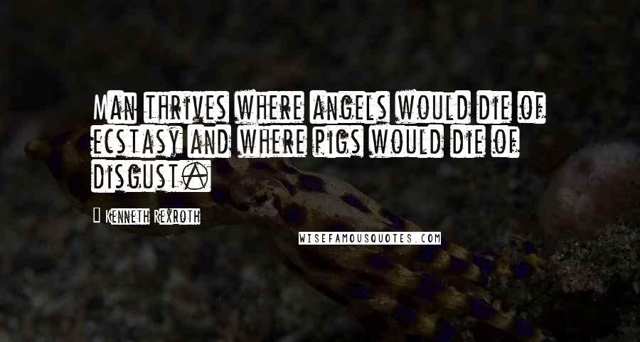 Kenneth Rexroth Quotes: Man thrives where angels would die of ecstasy and where pigs would die of disgust.
