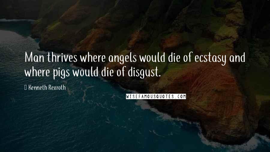 Kenneth Rexroth Quotes: Man thrives where angels would die of ecstasy and where pigs would die of disgust.