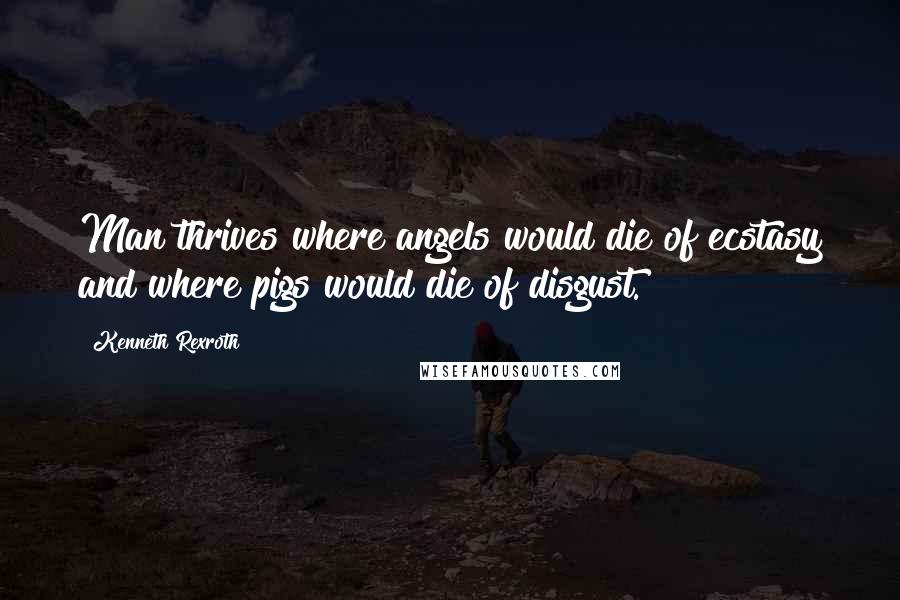 Kenneth Rexroth Quotes: Man thrives where angels would die of ecstasy and where pigs would die of disgust.