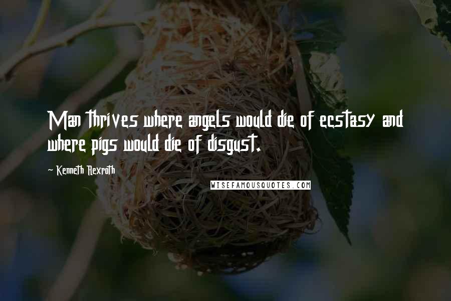 Kenneth Rexroth Quotes: Man thrives where angels would die of ecstasy and where pigs would die of disgust.