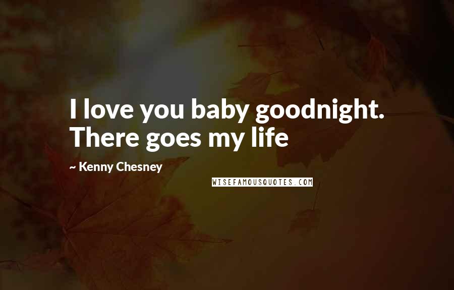 Kenny Chesney Quotes: I love you baby goodnight. There goes my life