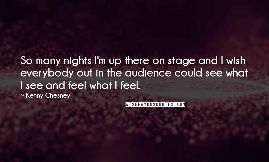 Kenny Chesney Quotes: So many nights I'm up there on stage and I wish everybody out in the audience could see what I see and feel what I feel.