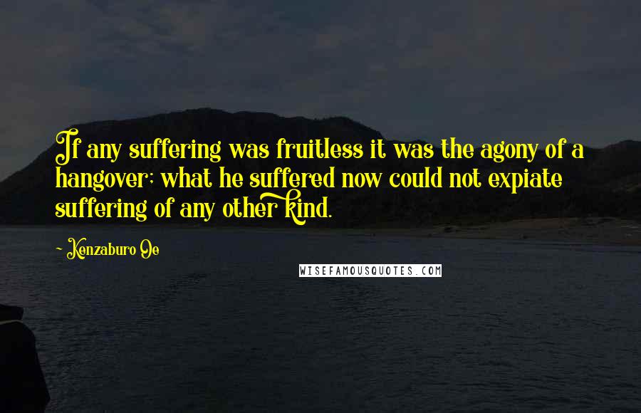 Kenzaburo Oe Quotes: If any suffering was fruitless it was the agony of a hangover; what he suffered now could not expiate suffering of any other kind.