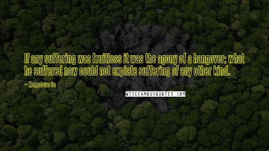 Kenzaburo Oe Quotes: If any suffering was fruitless it was the agony of a hangover; what he suffered now could not expiate suffering of any other kind.