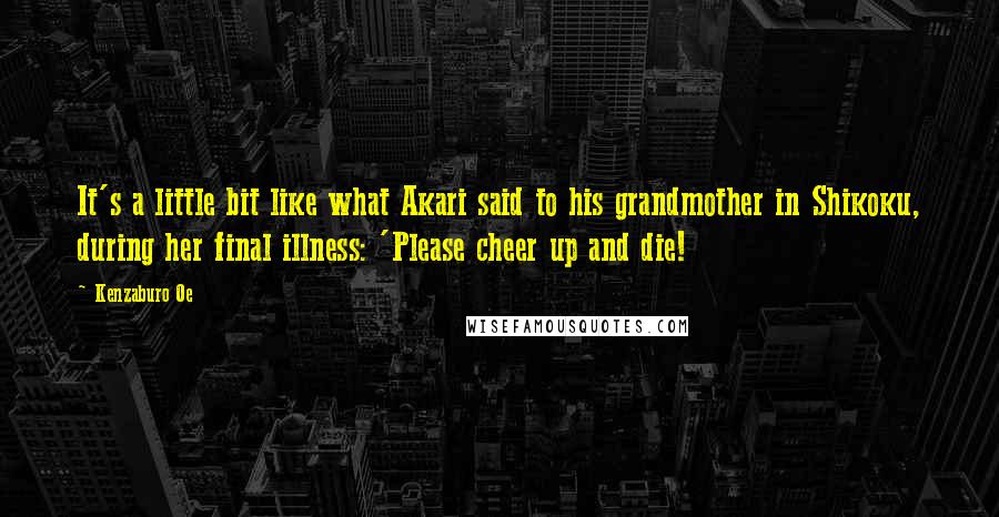 Kenzaburo Oe Quotes: It's a little bit like what Akari said to his grandmother in Shikoku, during her final illness: 'Please cheer up and die!