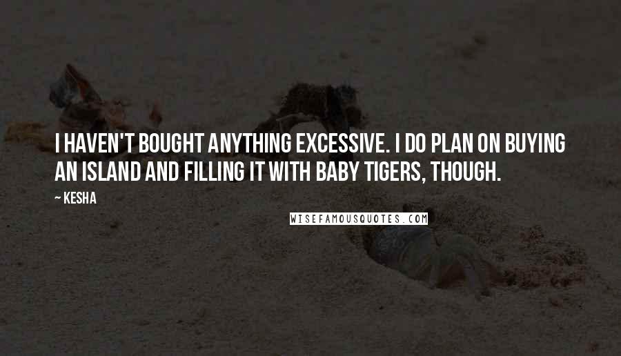 Kesha Quotes: I haven't bought anything excessive. I do plan on buying an island and filling it with baby tigers, though.