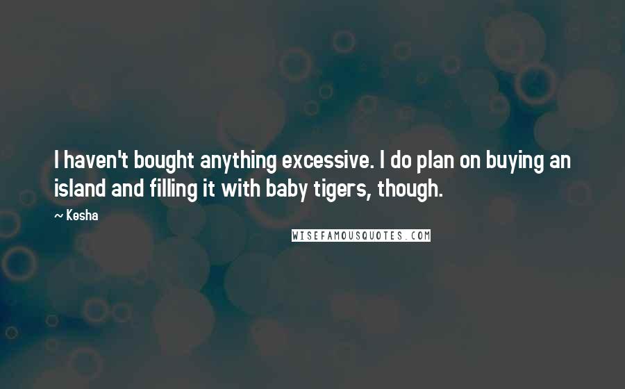 Kesha Quotes: I haven't bought anything excessive. I do plan on buying an island and filling it with baby tigers, though.