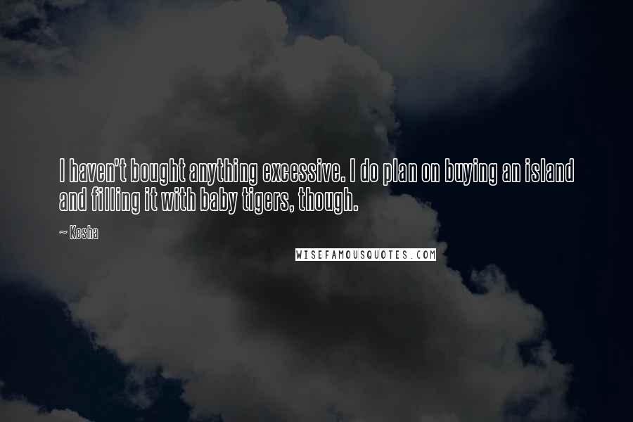 Kesha Quotes: I haven't bought anything excessive. I do plan on buying an island and filling it with baby tigers, though.