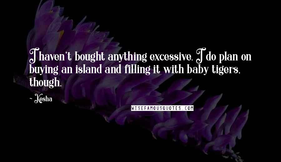 Kesha Quotes: I haven't bought anything excessive. I do plan on buying an island and filling it with baby tigers, though.