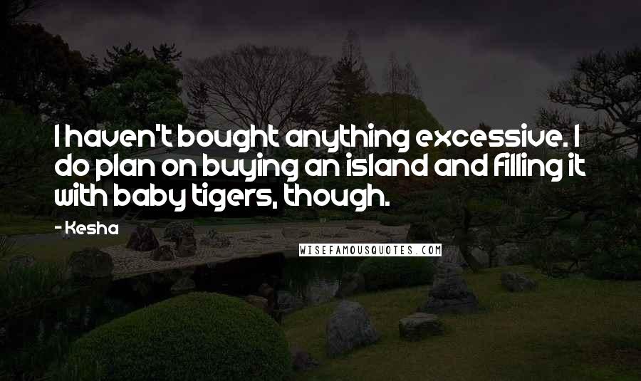 Kesha Quotes: I haven't bought anything excessive. I do plan on buying an island and filling it with baby tigers, though.