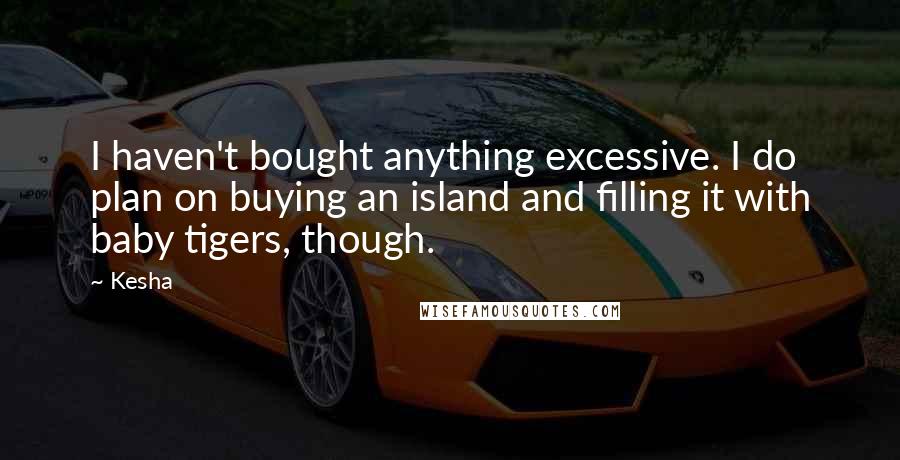 Kesha Quotes: I haven't bought anything excessive. I do plan on buying an island and filling it with baby tigers, though.