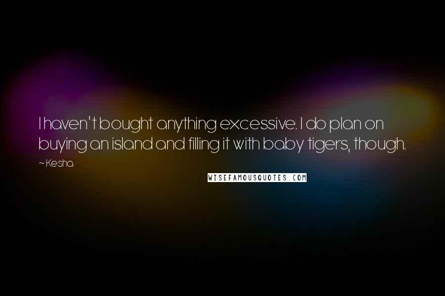 Kesha Quotes: I haven't bought anything excessive. I do plan on buying an island and filling it with baby tigers, though.