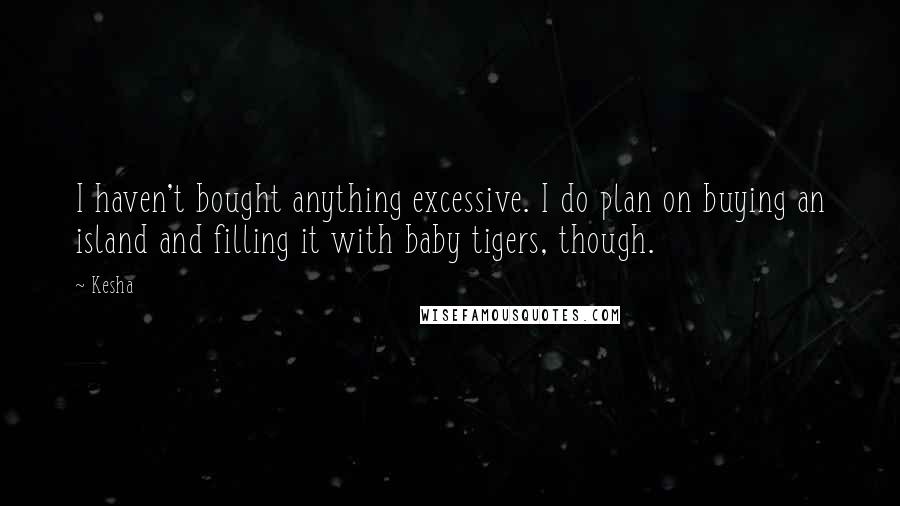 Kesha Quotes: I haven't bought anything excessive. I do plan on buying an island and filling it with baby tigers, though.