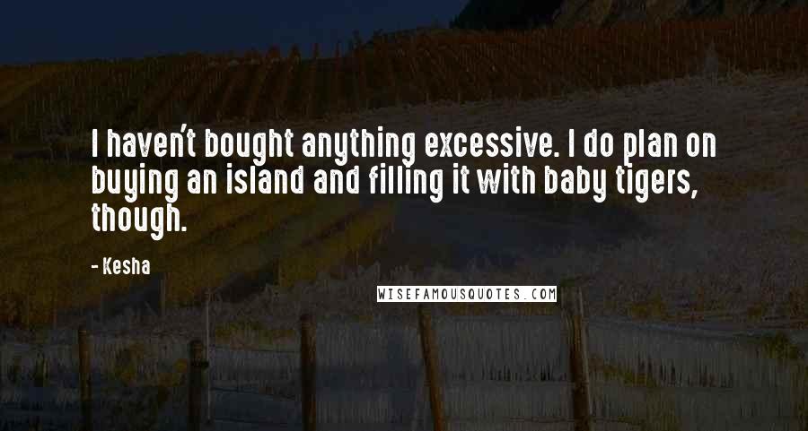 Kesha Quotes: I haven't bought anything excessive. I do plan on buying an island and filling it with baby tigers, though.