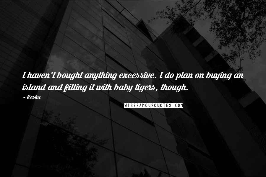 Kesha Quotes: I haven't bought anything excessive. I do plan on buying an island and filling it with baby tigers, though.