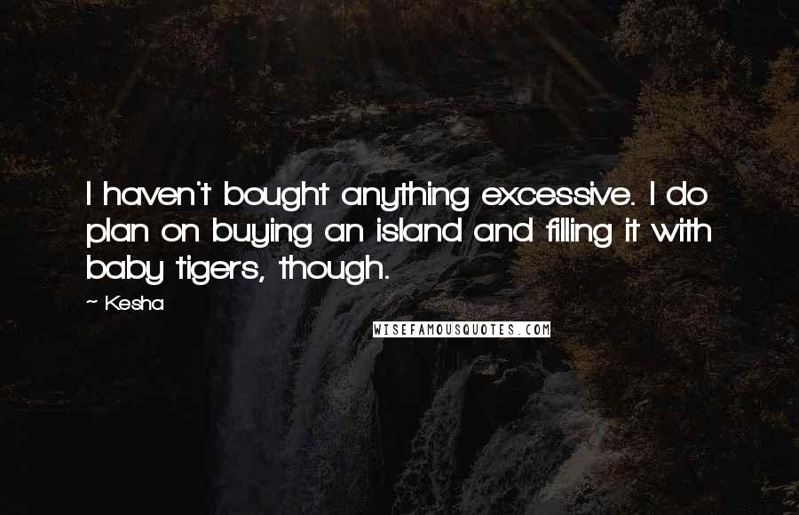 Kesha Quotes: I haven't bought anything excessive. I do plan on buying an island and filling it with baby tigers, though.
