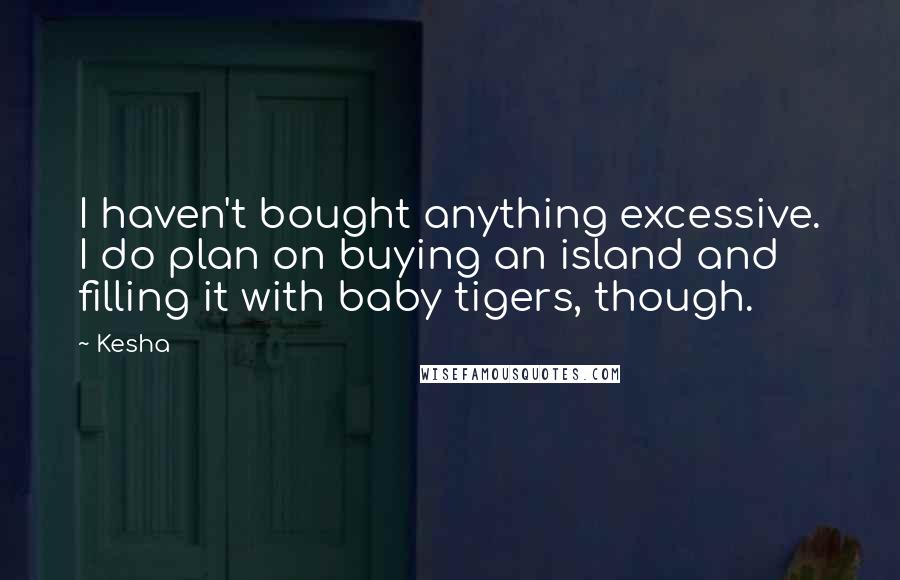 Kesha Quotes: I haven't bought anything excessive. I do plan on buying an island and filling it with baby tigers, though.