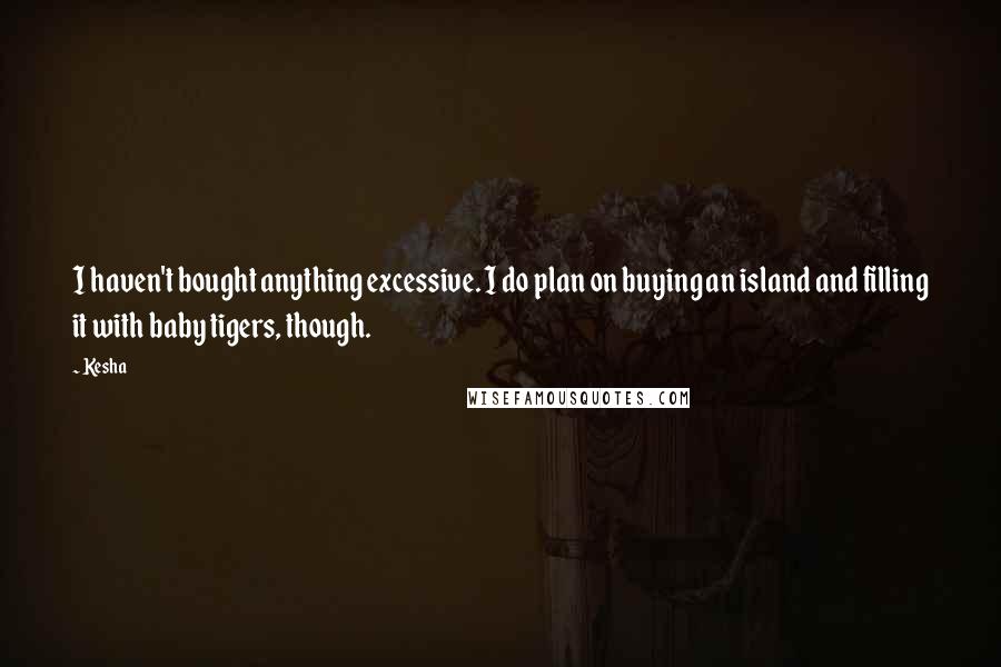 Kesha Quotes: I haven't bought anything excessive. I do plan on buying an island and filling it with baby tigers, though.