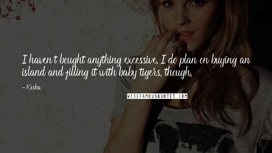 Kesha Quotes: I haven't bought anything excessive. I do plan on buying an island and filling it with baby tigers, though.