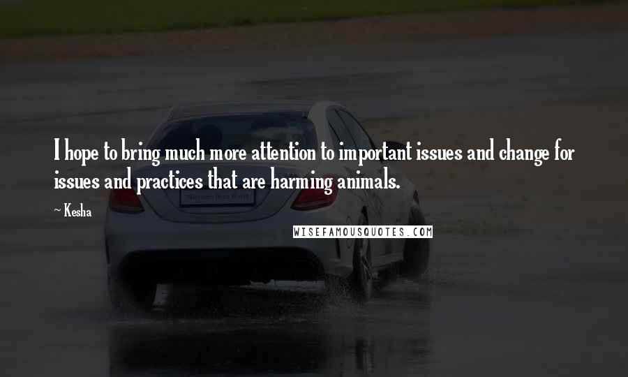 Kesha Quotes: I hope to bring much more attention to important issues and change for issues and practices that are harming animals.