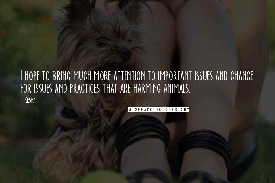 Kesha Quotes: I hope to bring much more attention to important issues and change for issues and practices that are harming animals.