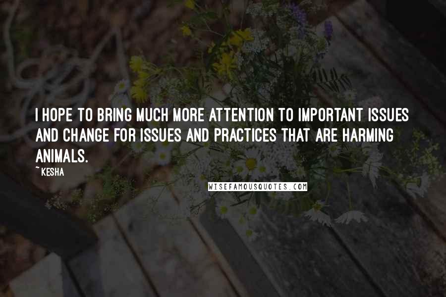 Kesha Quotes: I hope to bring much more attention to important issues and change for issues and practices that are harming animals.