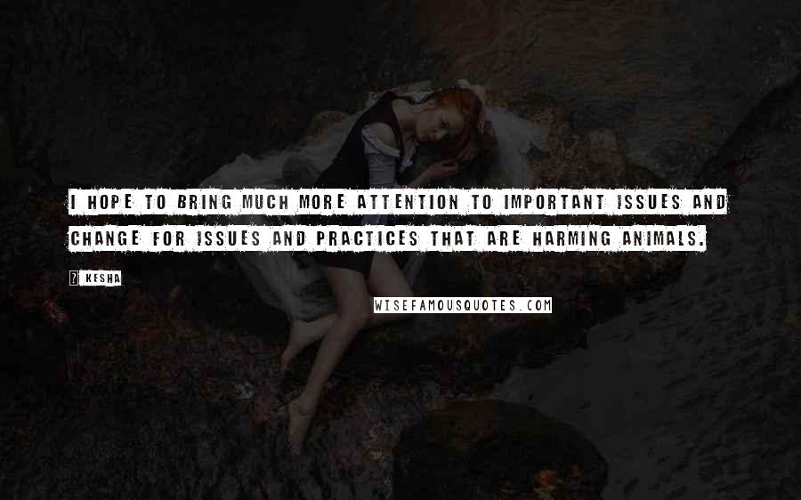 Kesha Quotes: I hope to bring much more attention to important issues and change for issues and practices that are harming animals.