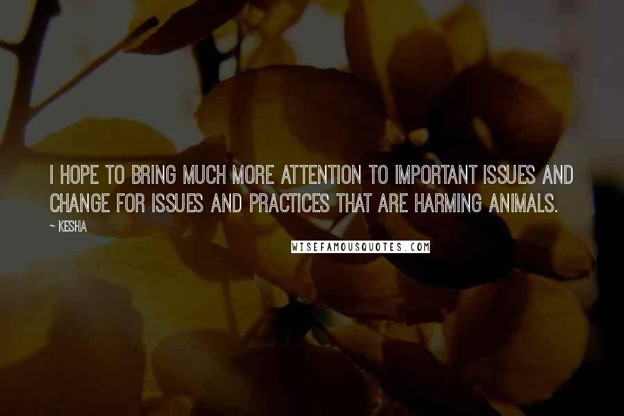 Kesha Quotes: I hope to bring much more attention to important issues and change for issues and practices that are harming animals.