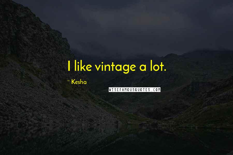 Kesha Quotes: I like vintage a lot.