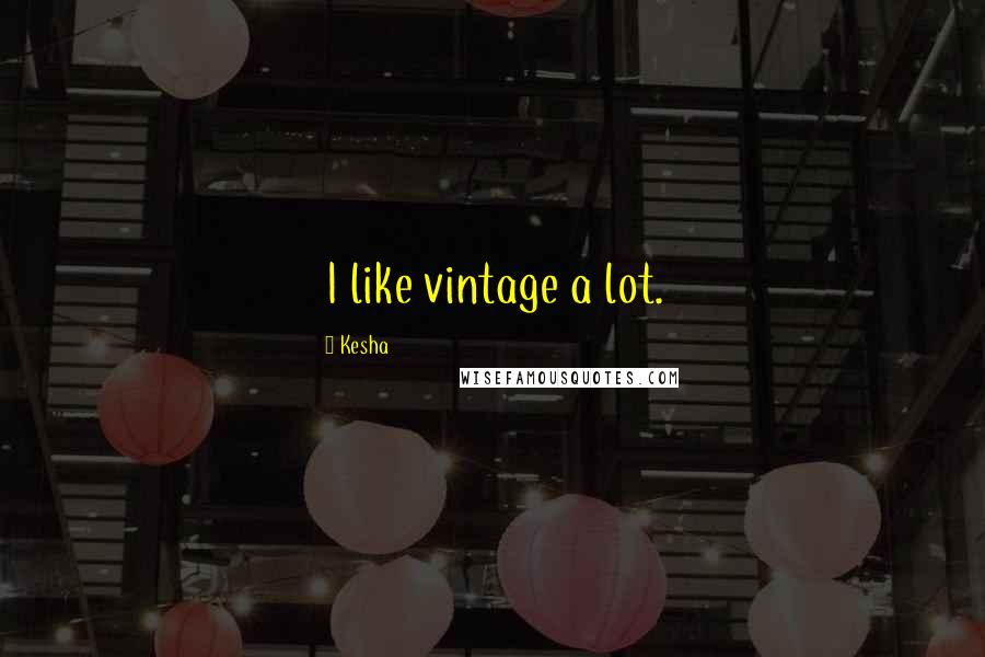 Kesha Quotes: I like vintage a lot.