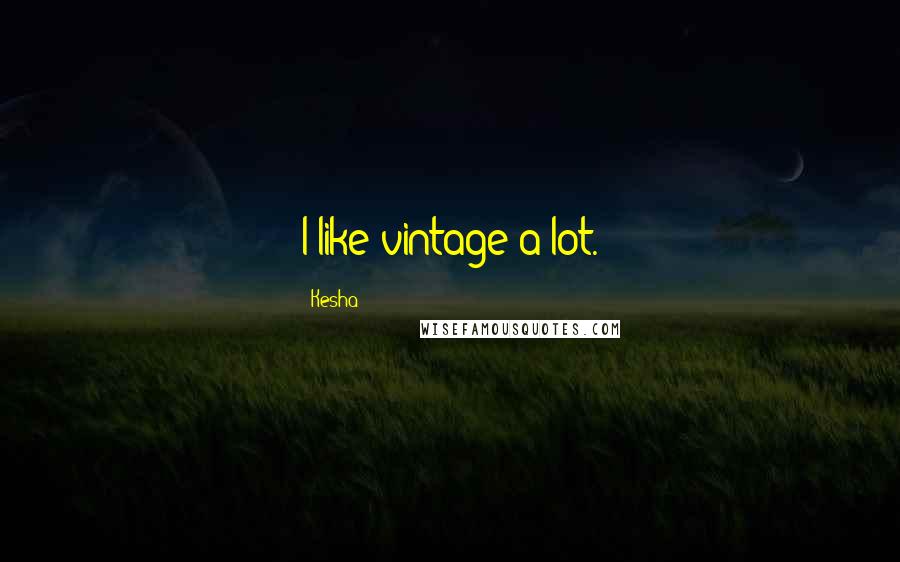 Kesha Quotes: I like vintage a lot.