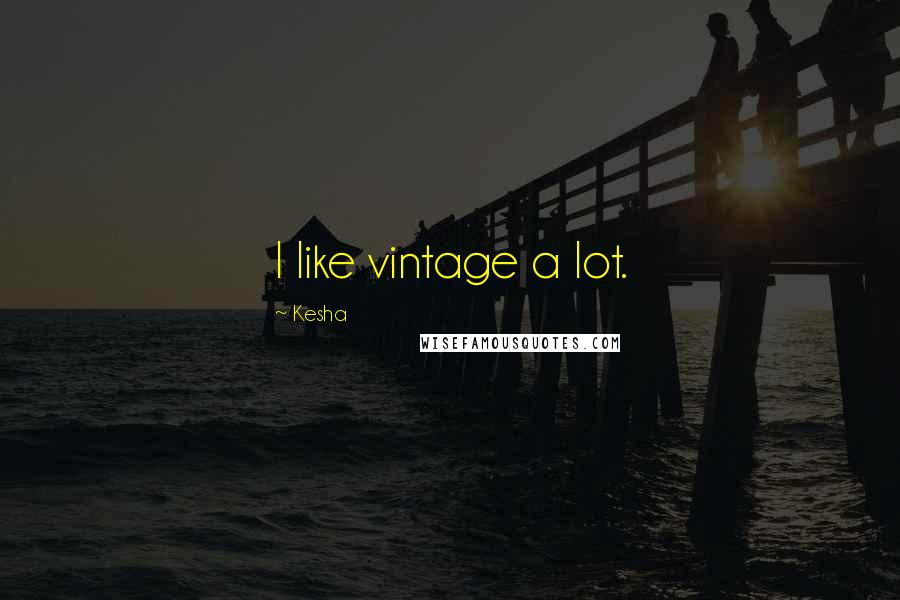 Kesha Quotes: I like vintage a lot.