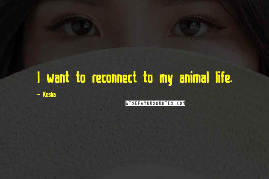 Kesha Quotes: I want to reconnect to my animal life.