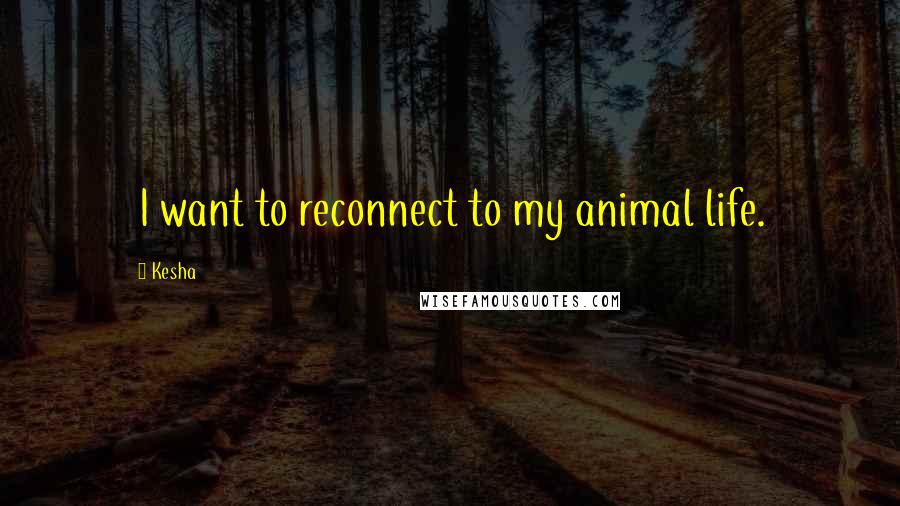 Kesha Quotes: I want to reconnect to my animal life.