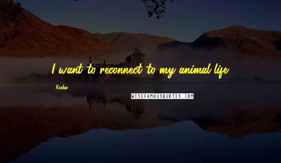 Kesha Quotes: I want to reconnect to my animal life.