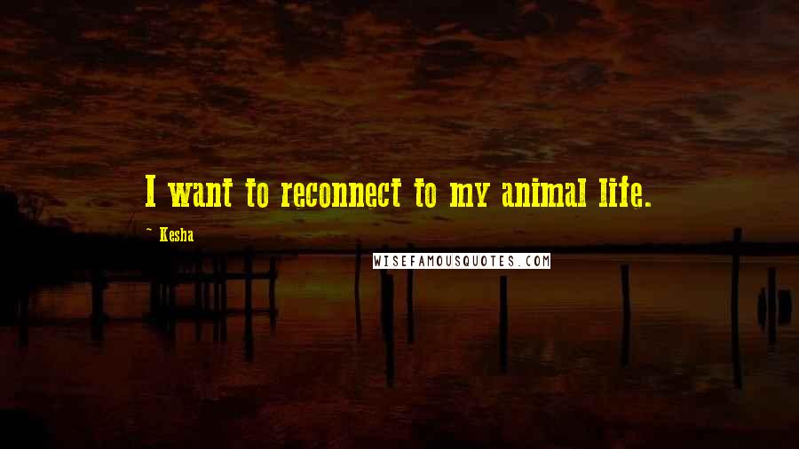 Kesha Quotes: I want to reconnect to my animal life.