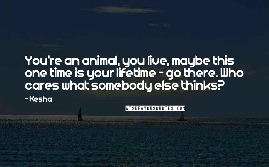 Kesha Quotes: You're an animal, you live, maybe this one time is your lifetime - go there. Who cares what somebody else thinks?